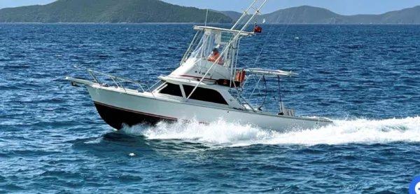 Bertram 31