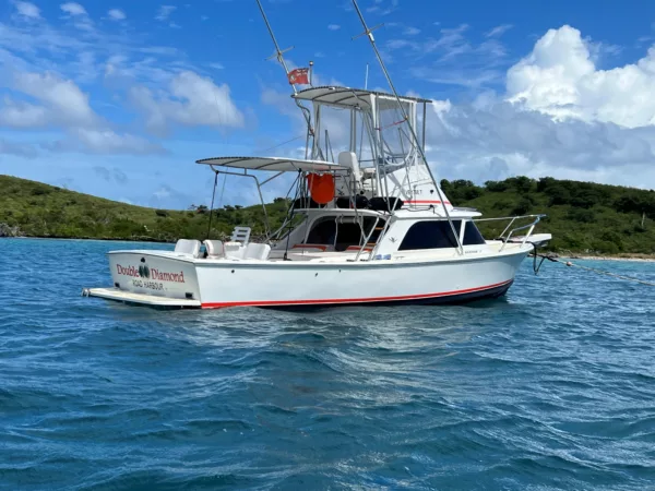 Bertram 31 Sportfisher 'Double Diamond' 1964 - Image 2