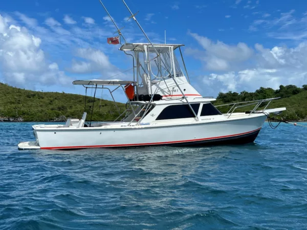 Bertram 31 Sportfisher 'Double Diamond' 1964 - Image 3
