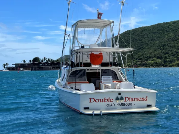 Bertram 31 Sportfisher 'Double Diamond' 1964 - Image 4
