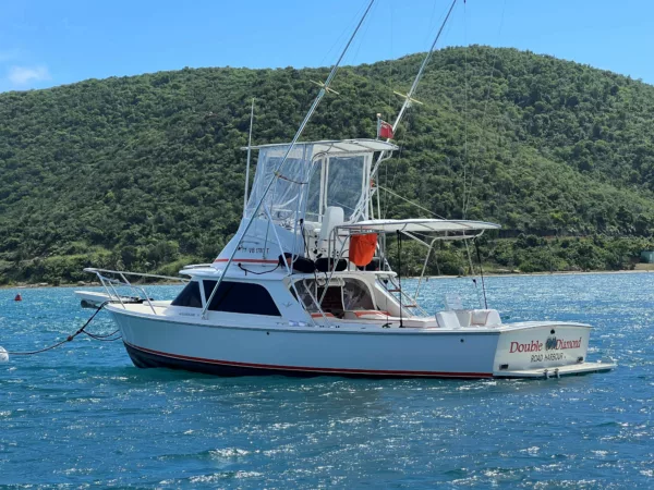 Bertram 31 Sportfisher 'Double Diamond' 1964 - Image 5