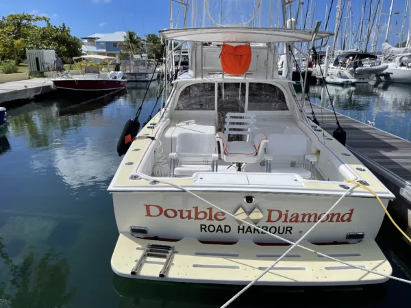 Bertram 31 Sportfisher 'Double Diamond' 1964 - Image 6