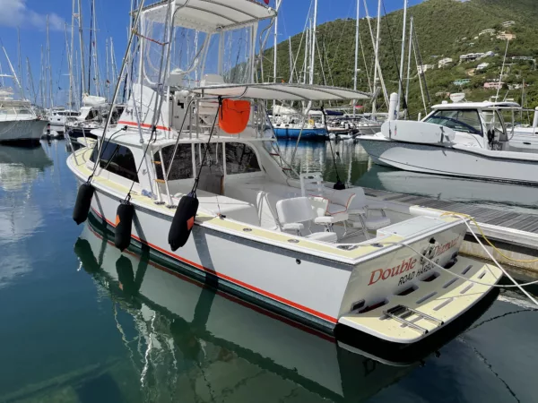 Bertram 31 Sportfisher 'Double Diamond' 1964 - Image 7