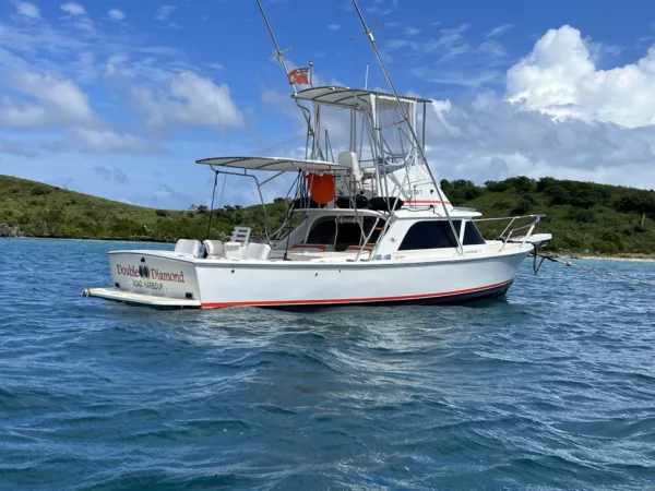 Bertram 31 Sportfisher 'Double Diamond' 1964 - Image 17