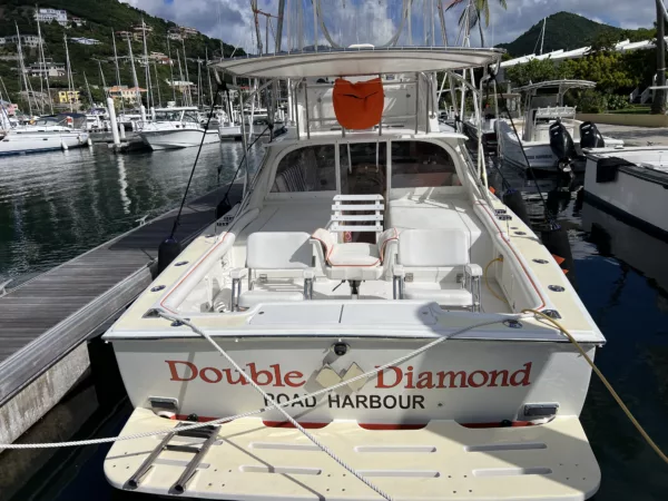 Bertram 31 Sportfisher 'Double Diamond' 1964 - Image 18