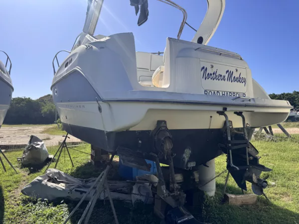 Bayliner 305's - Image 39