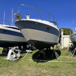 Bayliner 305's