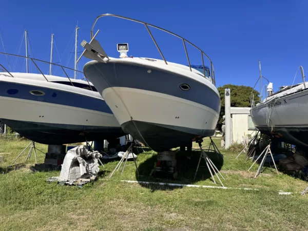 Bayliner 305's