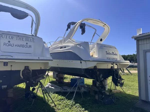 Bayliner 305's - Image 2