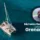 Grenada catamaran listing agent for Virgin Islands Yacht broker