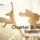 charter yacht business for sale in the BVI